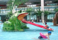 กบน้ำสไลด์เด็กสนามเด็กเล่นอุปกรณ์สำหรับสระว่ายน้ำ